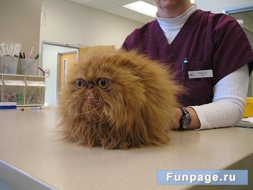 Когда ты слышишь от своей подружки фразу "Нам нужно поговорить" Когда ты слышишь от своей подружки фразу "Нам нужно поговорить"